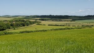 Roundbarrow 1 Roundbarrow 1