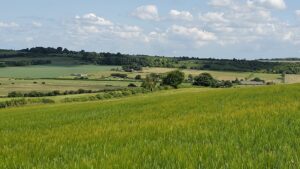 Roundbarrow 3 Roundbarrow 3
