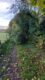 tree down
