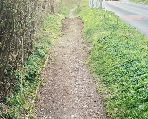 Firs Rd footpath top