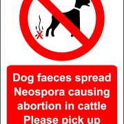 cattle dog waste