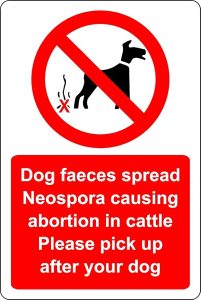 cattle dog waste